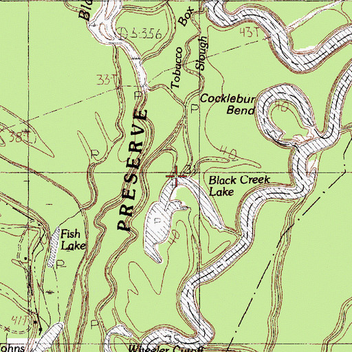 Topographic Map of Black Creek Lake, TX