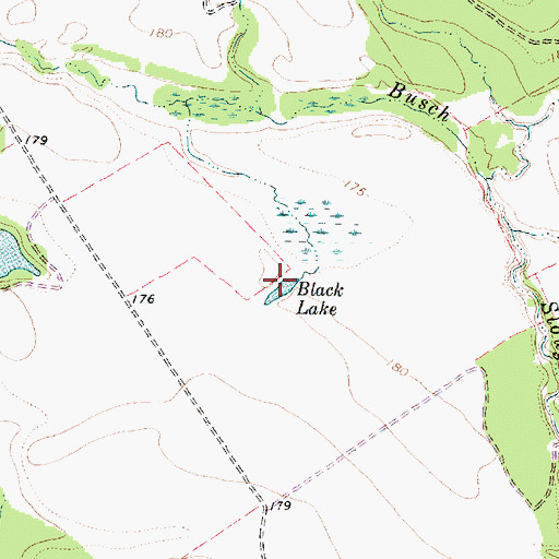 Topographic Map of Black Lake, TX
