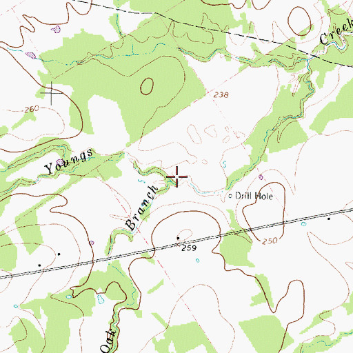 Topographic Map of Black Oak Branch, TX