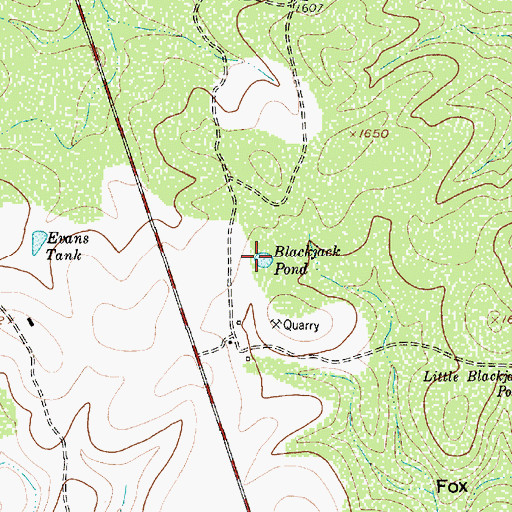 Topographic Map of Blackjack Pond, TX