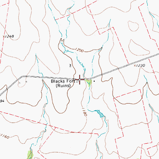 Topographic Map of Blacks Fort, TX