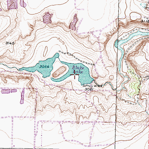 Topographic Map of Blake Lake, TX
