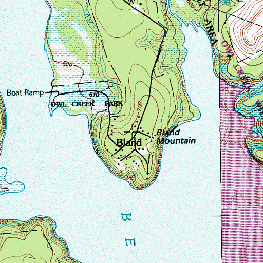 Topographic Map of Bland Mountain, TX