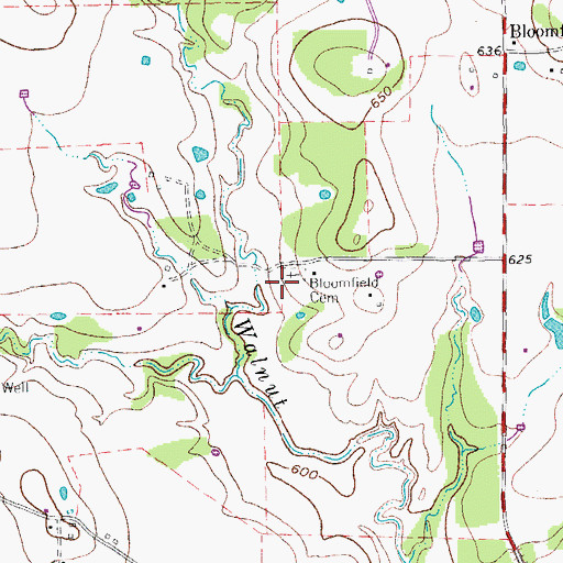 Topographic Map of Bloomfield Cemetery, TX