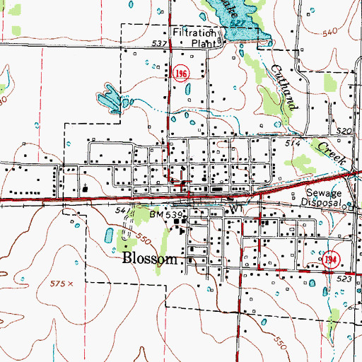 Topographic Map of Blossom, TX