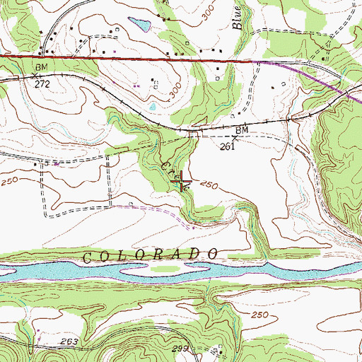 Topographic Map of Blue Branch, TX