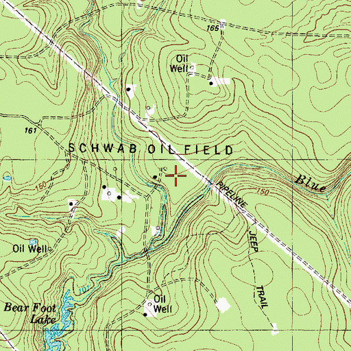 Topographic Map of Blue Branch, TX