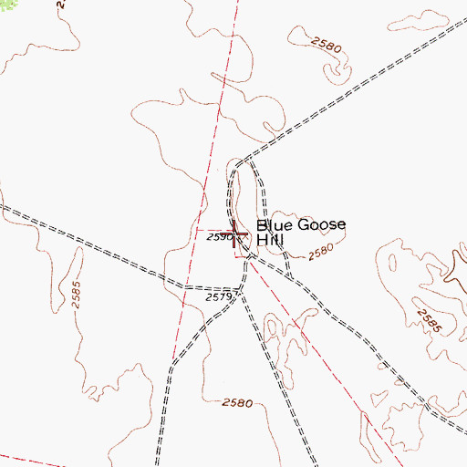 Topographic Map of Blue Goose Hill, TX