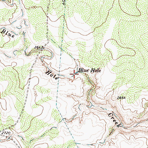 Topographic Map of Blue Hole, TX