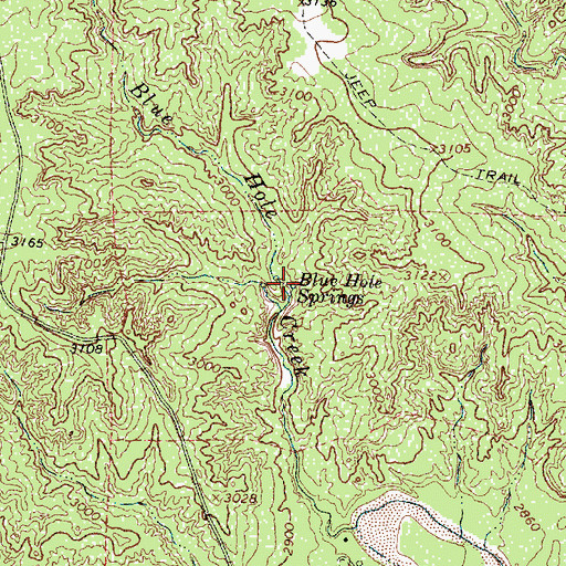 Topographic Map of Blue Hole Springs, TX