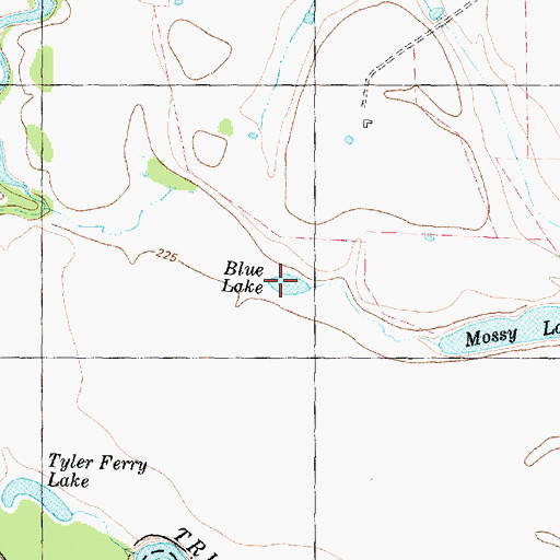 Topographic Map of Blue Lake, TX