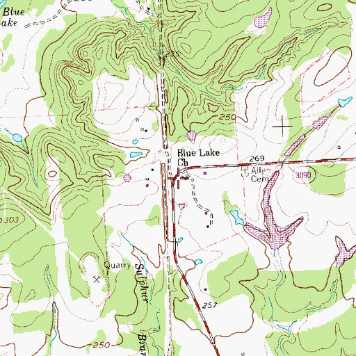 Topographic Map of Blue Lake Church, TX
