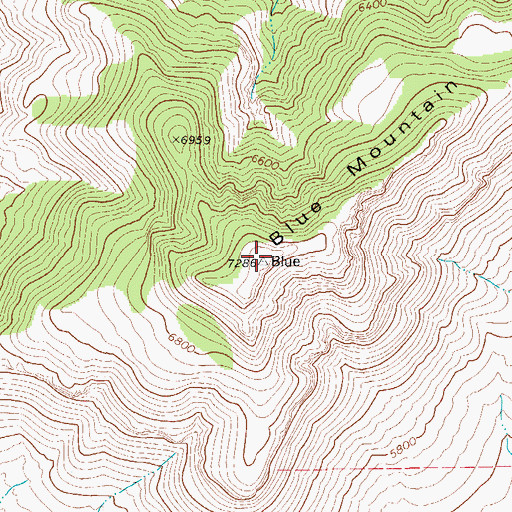 Topographic Map of Blue Mountain, TX