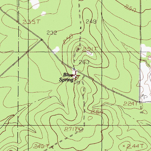 Topographic Map of Blue Spring, TX