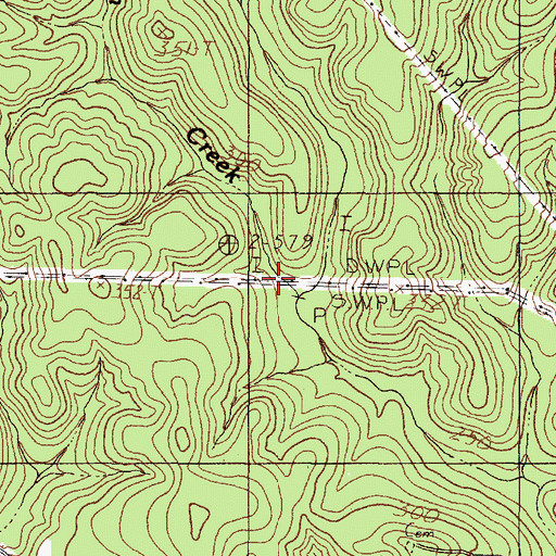 Topographic Map of Blue Spring Branch, TX
