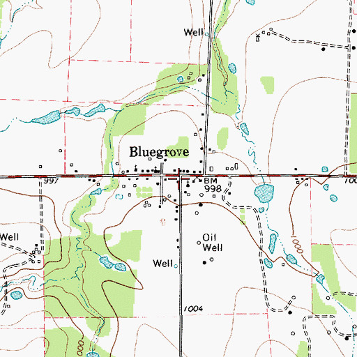 Topographic Map of Bluegrove, TX