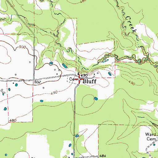 Topographic Map of Bluff, TX