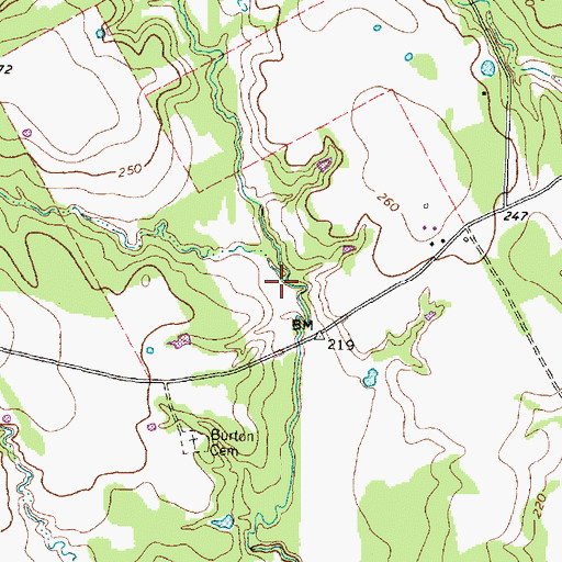 Topographic Map of Bob Branch, TX