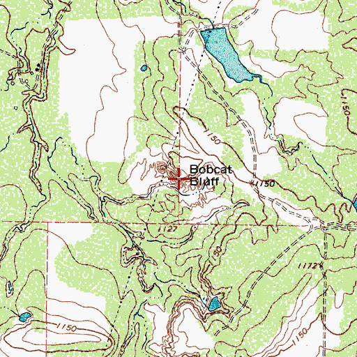 Topographic Map of Bobcat Bluff, TX