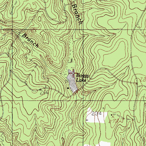 Topographic Map of Boggy Branch, TX