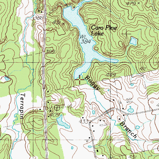 Topographic Map of Boggy Branch, TX