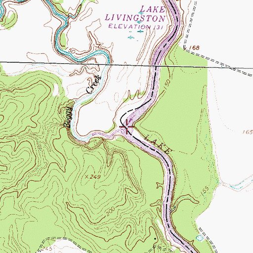 Topographic Map of Boggy Creek, TX