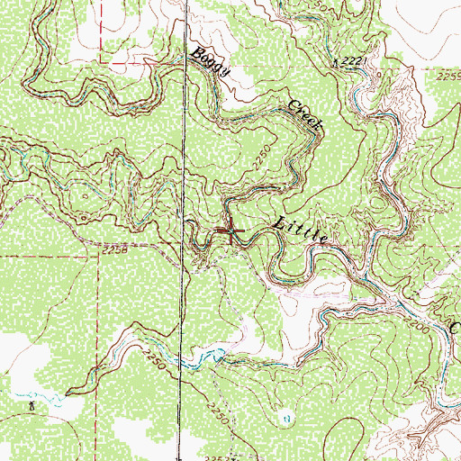 Topographic Map of Boggy Creek, TX