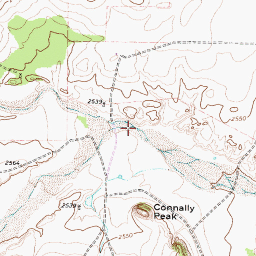 Topographic Map of Boggy Creek, TX