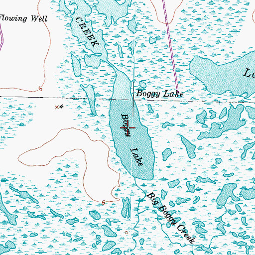 Topographic Map of Boggy Lake, TX