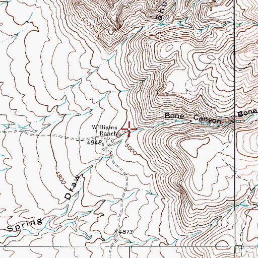 Topographic Map of Bone Canyon, TX