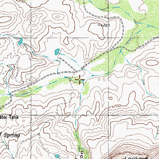 Topographic Map of Bone Spring Canyon, TX