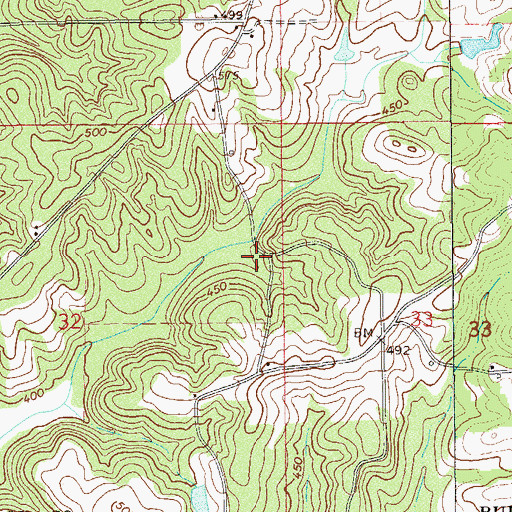 Topographic Map of Riley Store (historical), AL