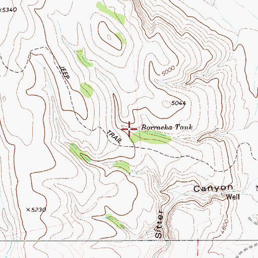 Topographic Map of Borracha Tank, TX