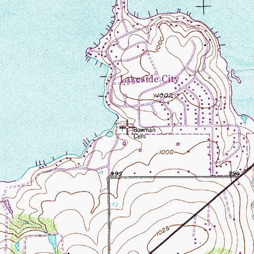 Topographic Map of Bowman Cemetery, TX