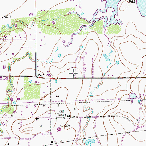 Topographic Map of Bowman School, TX