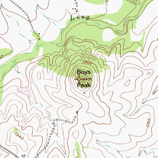 Topographic Map of Boys Peak, TX