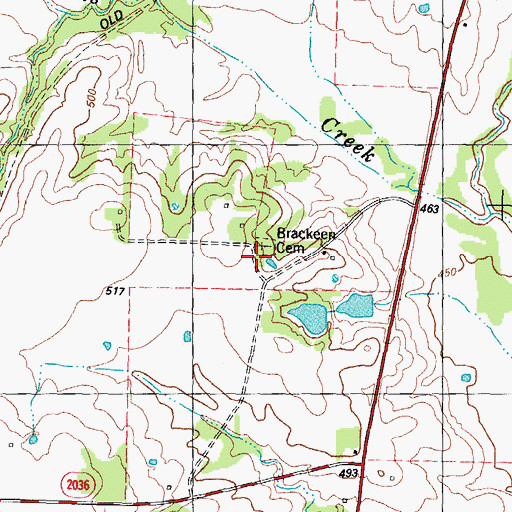 Topographic Map of Brackeen Cemetery, TX