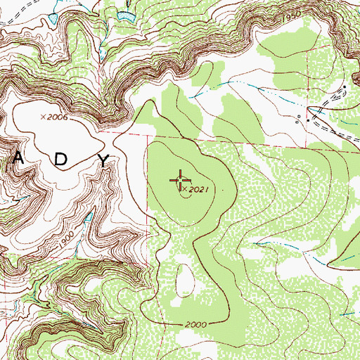 Topographic Map of Brady Mountains, TX