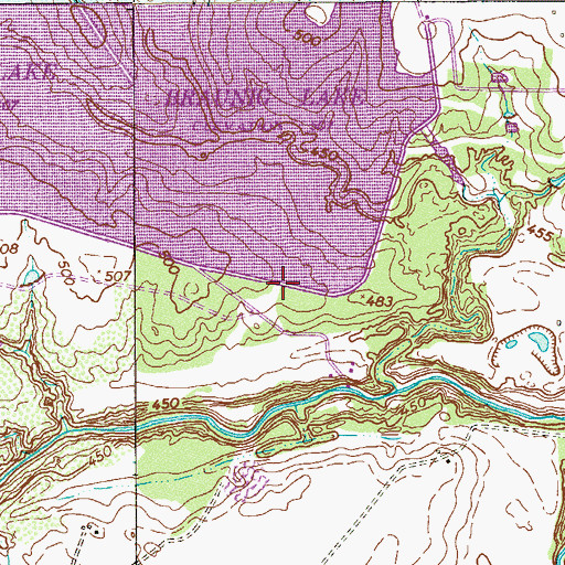 Topographic Map of Braunig Lake, TX