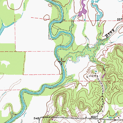 Topographic Map of Bray Branch, TX
