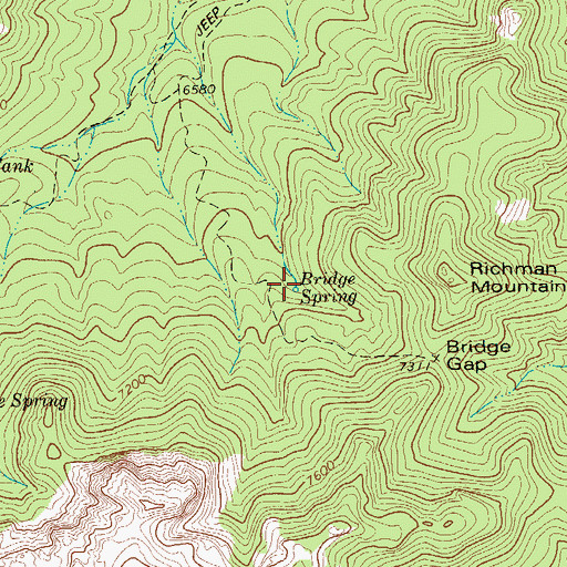 Topographic Map of Bridge Spring, TX