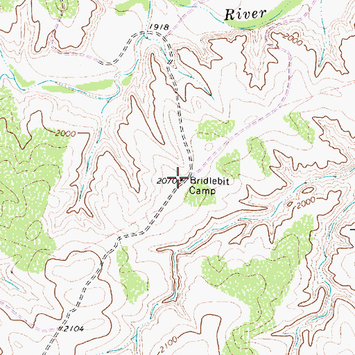 Topographic Map of Bridlebit Camp, TX