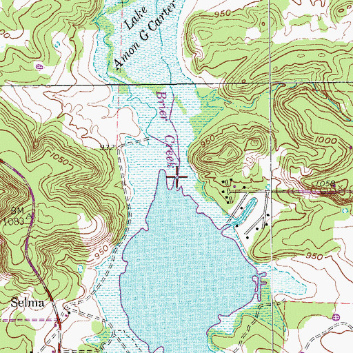 Topographic Map of Brier Creek, TX
