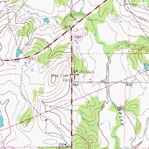 Topographic Map of Brier Creek Cemetery, TX