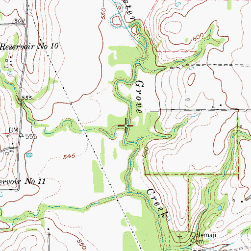 Topographic Map of Brinlee Branch, TX