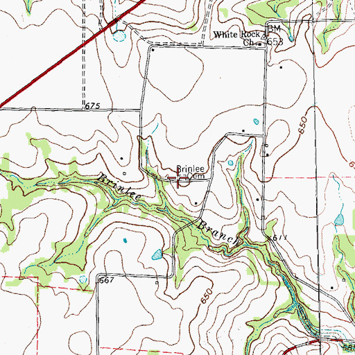Topographic Map of Brinlee Cemetery, TX
