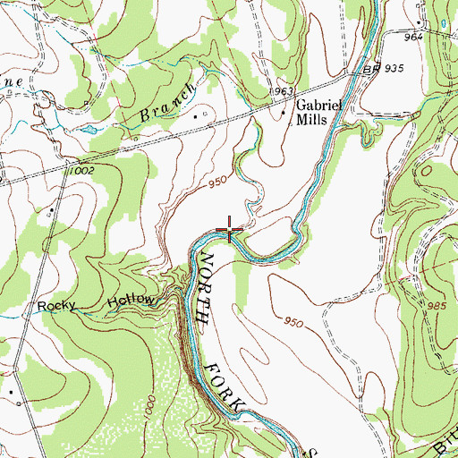 Topographic Map of Brizendine Branch, TX