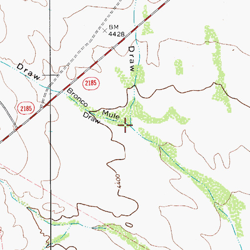 Topographic Map of Bronco Mule Draw, TX