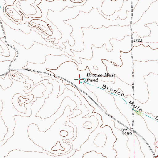Topographic Map of Bronco Mule Pond, TX