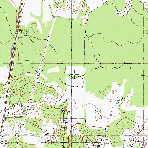 Topographic Map of Browning Branch, TX